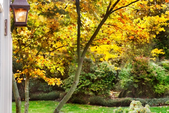 autunno-giardino-piante
