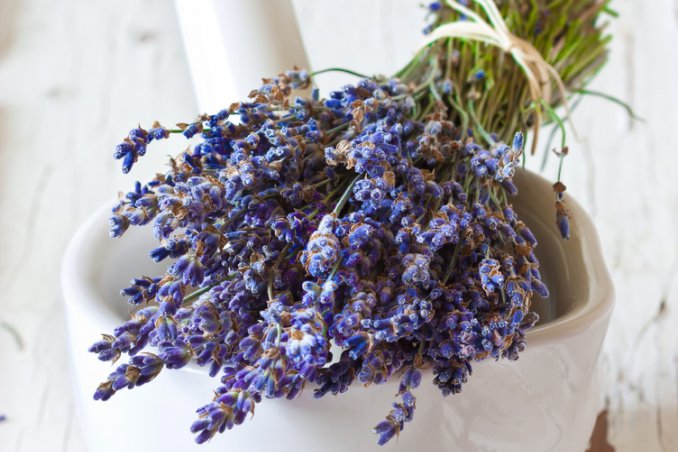 profumi naturali biodegradabili deodoranti ambientali freschezza