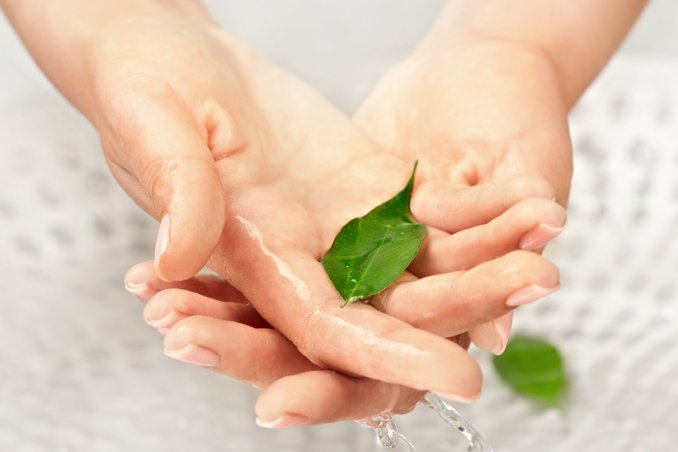 pelle organo protezione rivestimento funzione descrizione epidermide