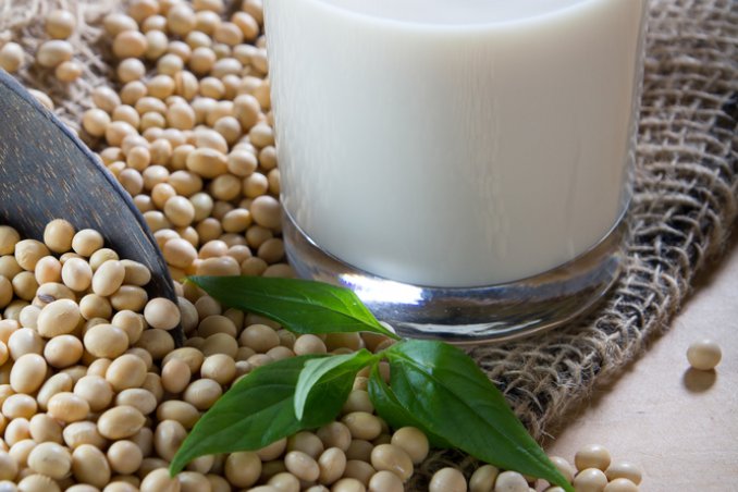 latte vegetale varietà scelta fatto in casa 