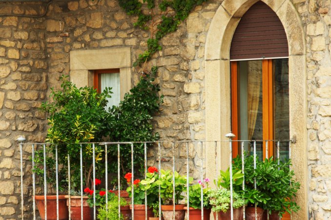 Un frutteto nel tuo terrazzo