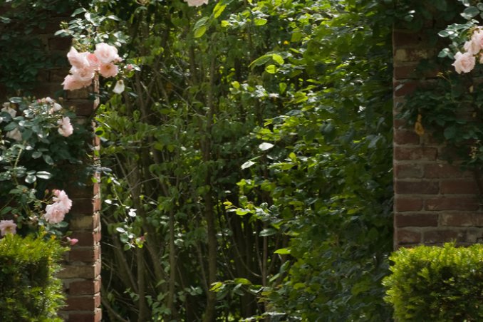 Il giardino decorativo verticale