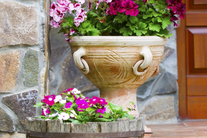 Il vaso giusto per le tue piante