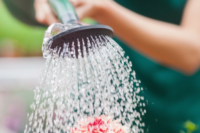 annaffiare-estate-piante