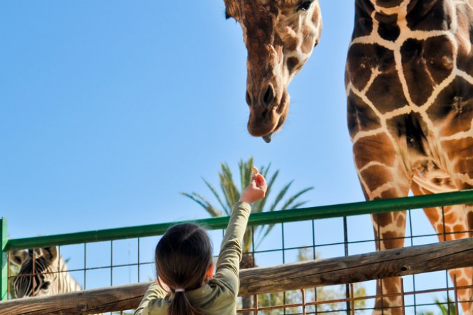 natura mete interessanti parchi verde viaggi tempo libero donne donna