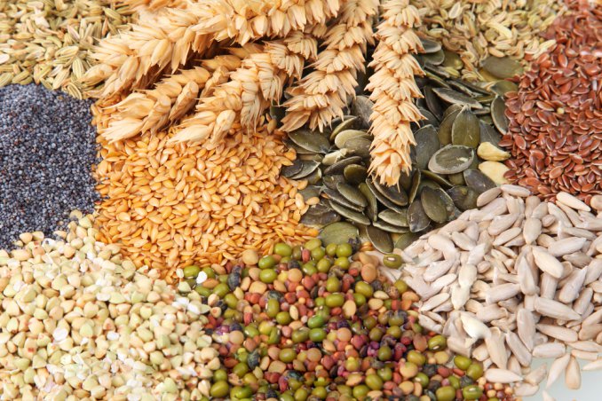 mangiare ecologico cucina sostenibile regole per risparmiare non sprecare