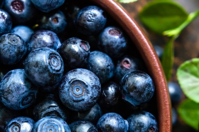 Le proprietà del mirtillo sono tante: diuretiche, anti-diabetiche, toniche, astringenti.