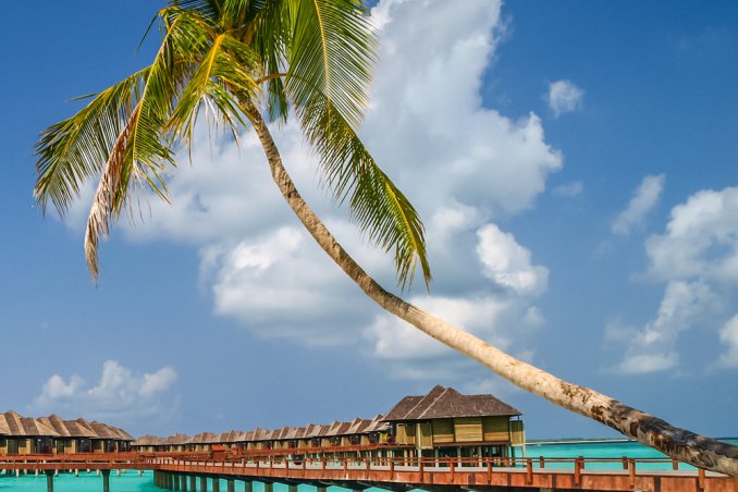 Maldive viaggio atollo coralli barriera reef