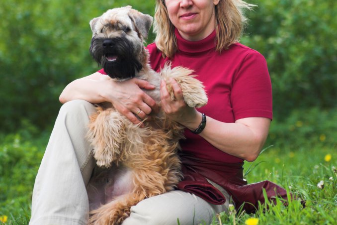 Soft-coated Wheaten Terrier 