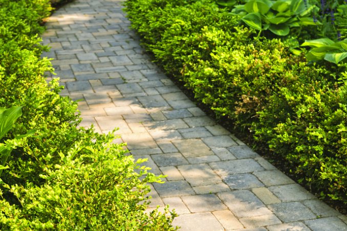 siepi-decorazione-giardino