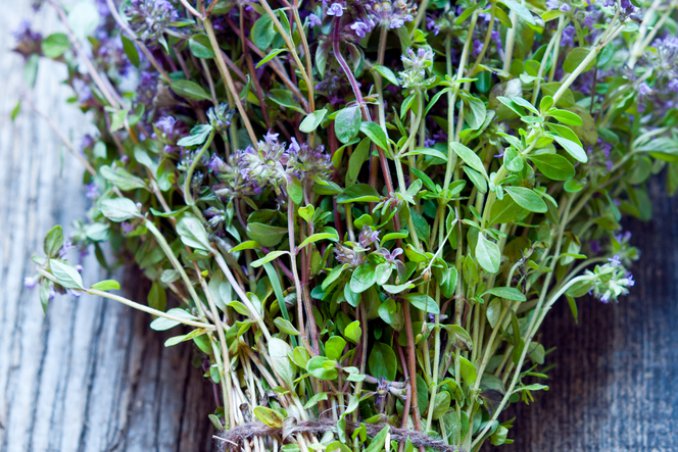 timo salute bellezza proprietà