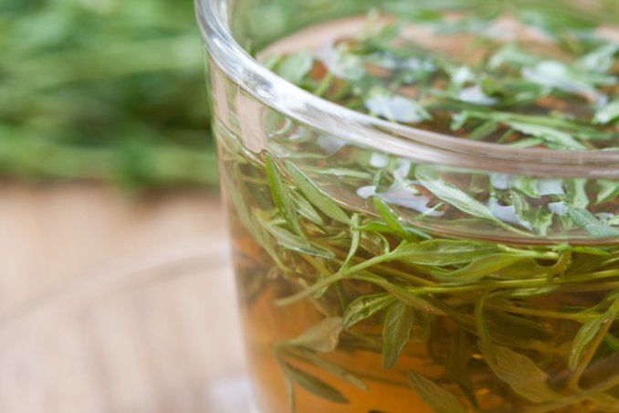 timo salute bellezza proprietà