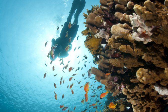 Sharm el Sheikh Egitto viaggi resort Sinai