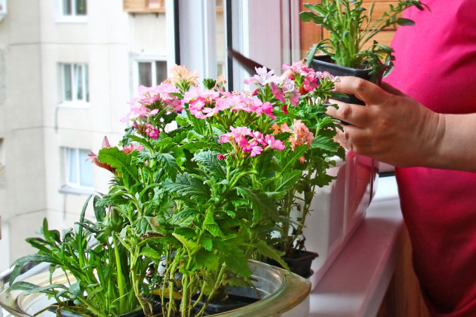 cera pericoli risparmio materiali finiture inquinamento ecologia tessuti legno mobili casa 