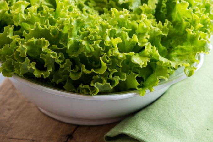 lattuga-verdura-cucina