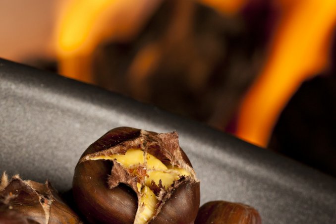 castagna frutta autunno inverno marrone foresta