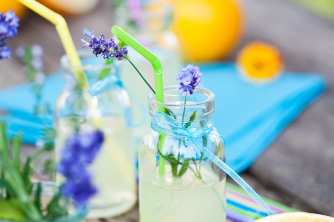 eco party festa risparmio natura 