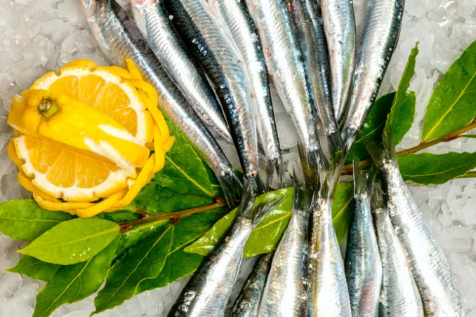 pesce azzurro caratteristiche pulizia proprietà