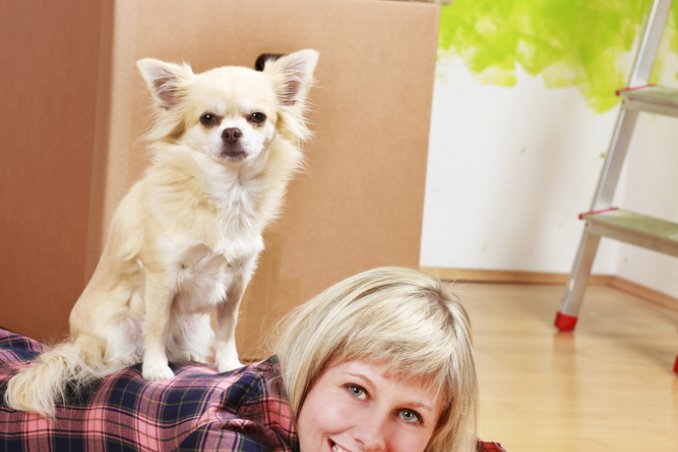 cucciolo, casa, accoglienza, cane, abituare, abitudini, educare