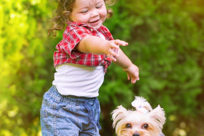 cane, fido, scelta, bambini, amicizia