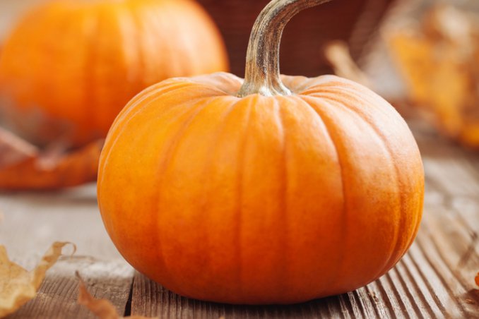 zucca-cucina-ricette