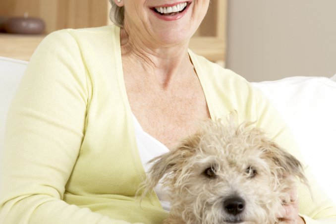 cani, gatti, compagnia, anziani