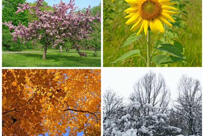 Le stagioni nei sogni