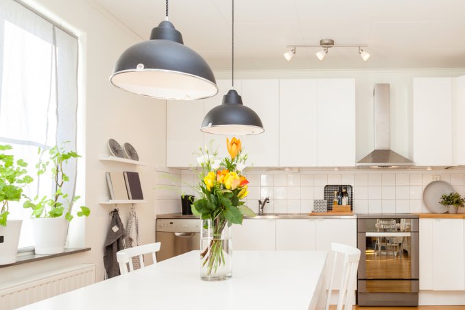 Come eliminare gli scarafaggi Vape Esche