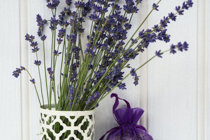 La lavanda per profumare la tua casa