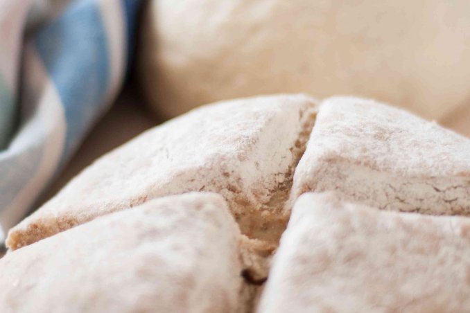 come fare il lievito madre