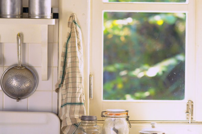 STOP a scarafaggi e formiche