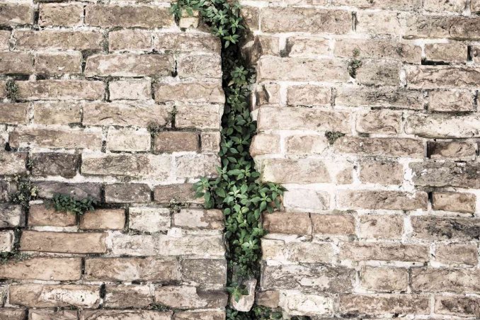 sognare il terremoto