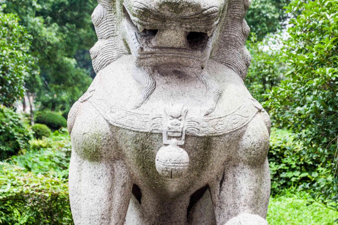 oroscopo cinese drago