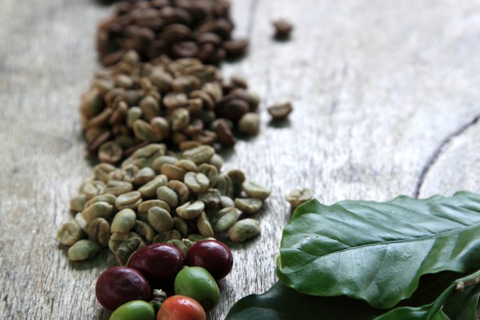 rimedi casalinghi piante concimi naturali