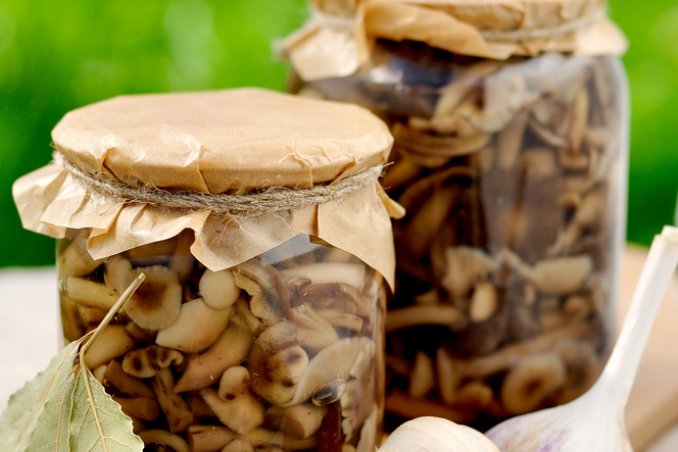 funghi chiodini conserva sale barattolo