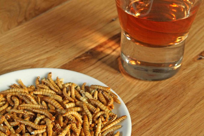 sognare vermi significato