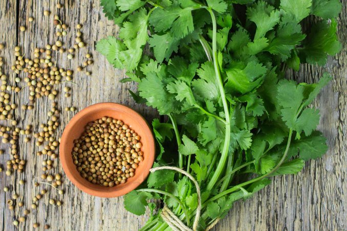 coriandolo proprietà e benefici