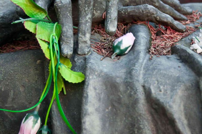 sognare di morire significato