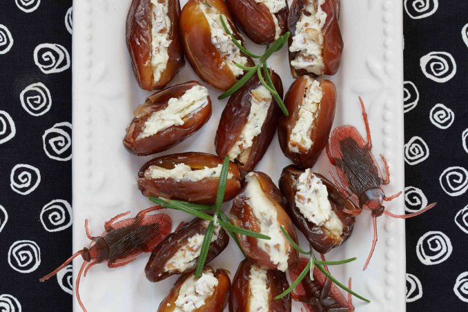 sognare gli insetti significato