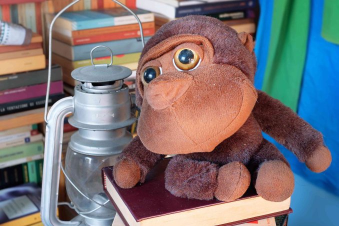 come organizzare la libreria di casa