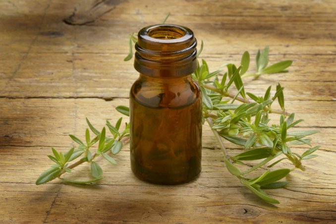 santoreggia proprietà e usi