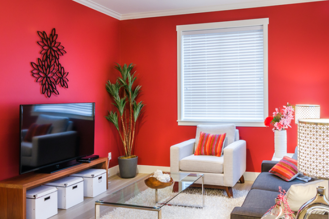 Come pulire le pareti di casa dalla muffa