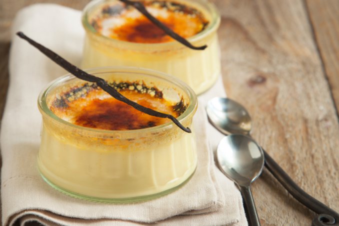 crème brulée crema cotta 