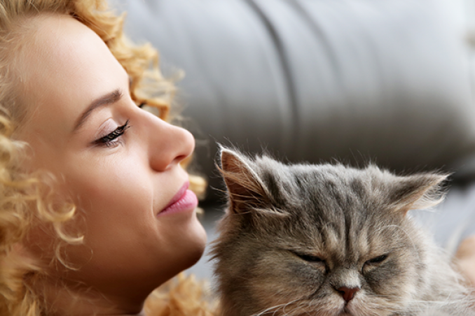 gatto adatto personalità tipo di vita 