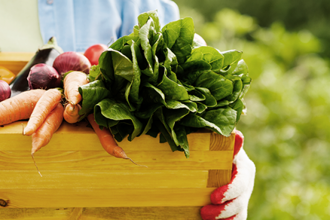 La frutta e verdura di stagione a giugno