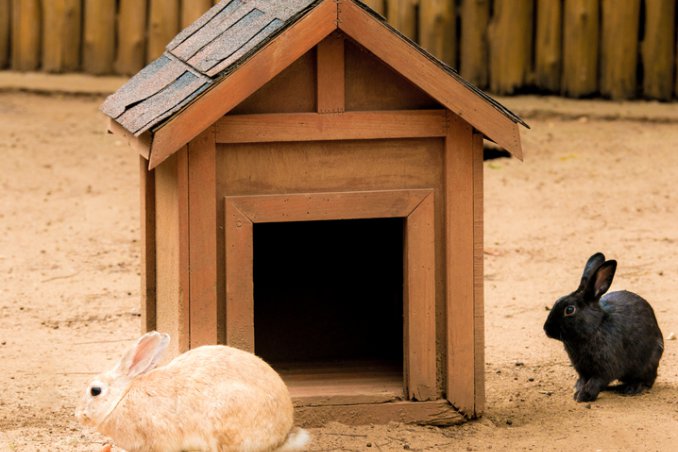 casa per i conigli