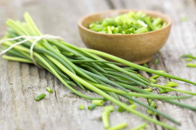 Erba cipollina proprietà, benefici e controindicazioni