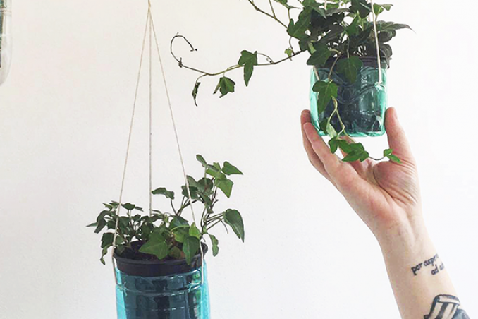 Costruire un giardino verticale in casa utilizzando le bottiglie di plastica