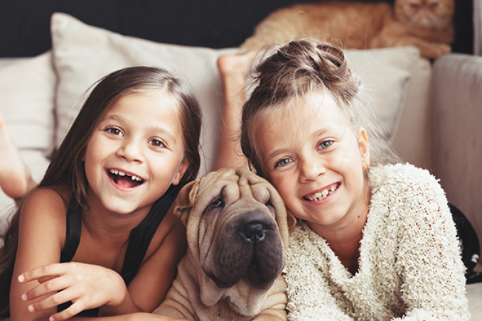 Quando tuo figlio vuole un cane