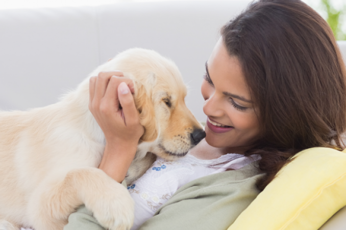 Ci amano di più i cani o i gatti?